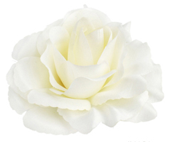 LORA dekoracja na samochód do ślubu KREMOWA LORA dekoracja na samochód do ślubu KREMOWA