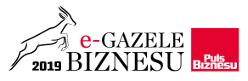 e-gazele biznesu 2019