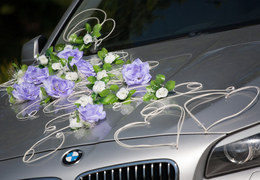 VIOLA - dekoracja samochodu ślubnego