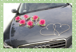 NINA ciemny róż komplet do dekoracji samochodu ślubnego