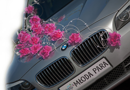 LAURA ciemny róż - ślubny wystrój samochodu